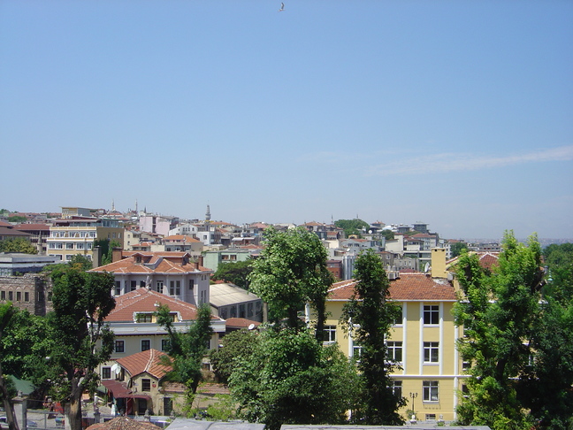 DSC06139